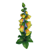 Dedalera amarilla y naranja