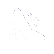 Cenerentola